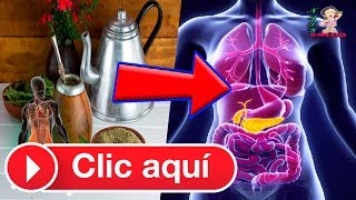 Propiedades Curativas Y Medicinales Del Mate [upl. by Reyotal]