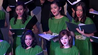 Batavia Madrigal Singers Amazing Grace  Arr Eriks Esenvalds [upl. by Ttayw]