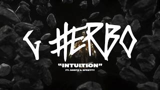 G Herbo  Intuition Official Lyric Video [upl. by Annekim]