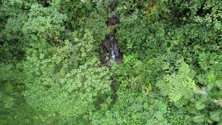 River 1 Upstream a drone footage of the river crossed by Kris Kremers and Lisanne Froon [upl. by Norre170]