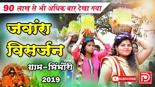 jawara visarjan bhimbhouri  जंवारा विसर्जन ग्राम भिंभौरी बेरला [upl. by Adnana]