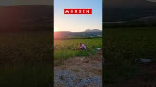 Жизнь в Турции 🇹🇷 travel mersin turkey summer beach realestate deniz love [upl. by Lrae]