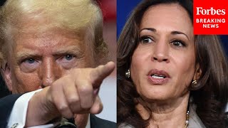 FULL CALL Trump Holds Border Czar Kamala Harris Press Call [upl. by Feltie]