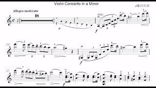 Jean Baptiste Accolay Violin Concerto No1 in A minor for Violin amp Full Orchestra Allegro moderato [upl. by Arv]