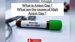 Causes Of High Anion Gap [upl. by Eeralih]