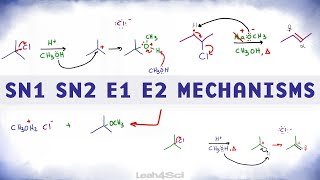 SN1 SN2 E1 E2 Reaction Mechanism Overview [upl. by Ahsikal]