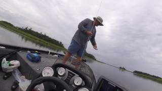 Pascagoula Bass Fishing in June [upl. by Leinto]