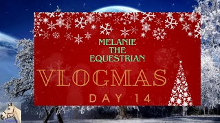 Advent Calendar Puzzle 14Horses amp Barn Cats In The Month Of November 2023 Vlogmas Day 14 [upl. by Bord775]