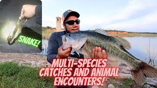 Multi Specie Catches and Animal Encounters [upl. by Buatti]