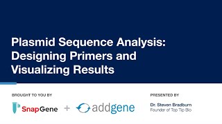 Plasmid Sequence Analysis Designing Plasmids and Visualizing Results [upl. by Haimehen]