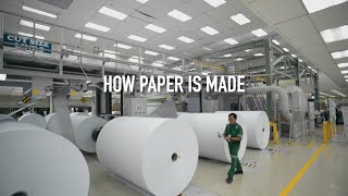 How Paper Is Made [upl. by Ree]