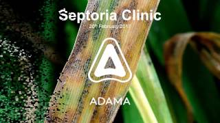 Spring 17 Septoria Clinic [upl. by Buffo275]