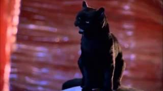 The Best Of Salem Sabrina The Teenage Witch [upl. by Nepets]