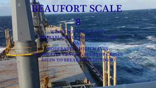 Beaufort Scale 0  12 Crossing Pacific Ocean [upl. by Aihn]