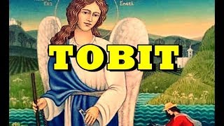 The Book of Tobit 📚 All chapters 🕎 [upl. by Ljoka]