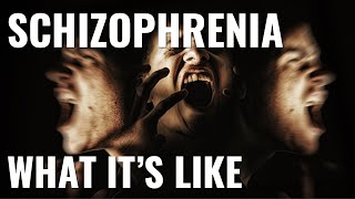 What its like to have schizophrenia [upl. by Rudy]