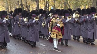 Remembrance Sunday 2019 The March to the Cenotaph [upl. by Diana]