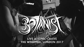 Botanist  Live at Sonic Grave London 2017 [upl. by Airetal]