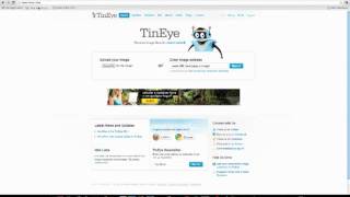 Utilizando o site TinEyecom [upl. by Asilat526]