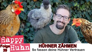 E39 Hühner zähmen Tipps und Tricks  HAPPY HUHN  wie bekommt man ein Huhn zahm und zutraulich [upl. by Gilchrist]