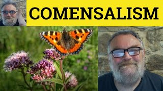 😎 Commensalism Meaning  Amensalism Defined  Symbiosis Examples  Mutualism Definition  Parasitism [upl. by Laufer]