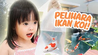 YUKACHAN PELIHARA IKAN HIAS LUCU  vlog [upl. by Suivatal]