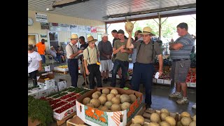 Mennonite Produce Auction  Lyndonville NY [upl. by Enaj]