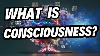 What is consciousness EXPLAINED [upl. by Ecnarretal]