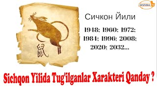 Sichqon YilidaTug‘ilganlarXarakterini bilib Olamiz  Sichqon muchalida tug’ilganlar haqida [upl. by Fregger629]