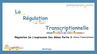 De LADN À LARN Comprendre Les Mécanismes De La Régulation Transcriptionnelle [upl. by Aneehsram196]