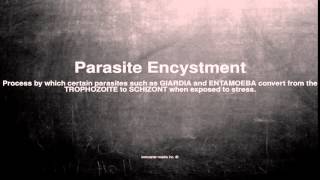 Medical vocabulary What does Parasite Encystment mean [upl. by Horatio]