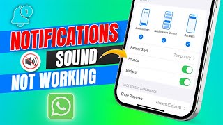 How to Fix WhatsApp Notifications Sound Not Working After iOS 17 Update [upl. by Edge726]