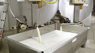 Análisis Procedimientos y Transformación de la Leche  TvAgro por Juan Gonzalo Angel [upl. by Ellenyl]