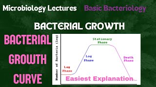 Bacterial Growth Curve Phases of Bacterial GrowthMicrobiology microbiology lecture growth [upl. by Sandro]