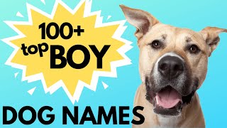 Top 100 Unique MALE Dog Names– Unusual Male Dog Names [upl. by Tsenre159]