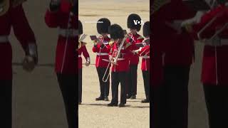 Royal Guards Collapse as Prince William Inspects Rehearsal shorts  VOA News [upl. by Strait615]