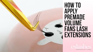 How To Apply Premade Volume Fans Lash Extensions [upl. by Enaoj]