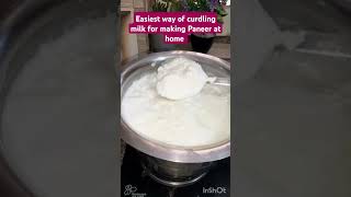 Easiest way of curdling milk for making Cheese shorts cooking healthy cheese goodforhealth [upl. by Refiffej]