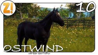 OSTWIND 4  Trailer amp Filmclips HD [upl. by Haniraz]