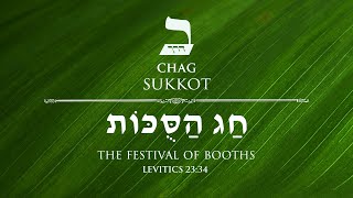 Sukkot Day 1 5784 [upl. by Hallette]