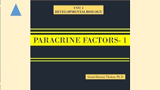 PARACRINE FACTORS  1 [upl. by Dickie]