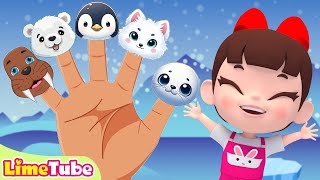 Antarctic pangolin friends Finger Family   Nursery Rhymes Song for kids [upl. by Der]