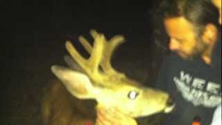 Deer humping guy  deer sex Paintball Mountain 2012 [upl. by Gilson783]