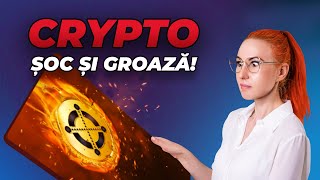 2022  Drama in CRYPTO  Ce sa NU faci cand investesti [upl. by Ilrak]