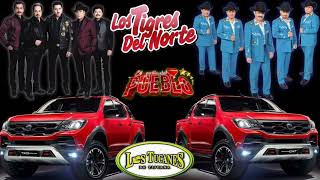 puros corridos chingones ✴️ ☆Los tigres del Norte vs los tucanes de Tijuana ☆ [upl. by Nylahsoj]