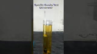 UrinometerSpecific GravityUrine TestSpGUrine specific gravitypracticle Urinometerdemonstration [upl. by Siurad]