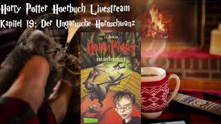 Harry Potter und der Feuerkelch LIVESTREAM Deutsch 7 podcast Harry Potter Hörbuch zum Einschlafen [upl. by Aniled]