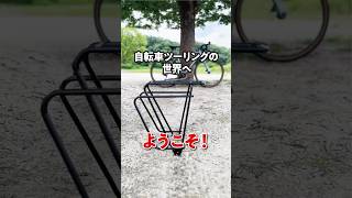 ツーリングやバイクパッキングに最適な軽量かつ頑丈な自転車キャリア。tubus チューブス 自転車キャリア キャリア クロモリ 自転車旅 自転車旅行 自転車 [upl. by Oidualc596]