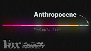 The debate over the Anthropocene explained [upl. by Neelahs751]