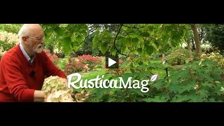 Réussir lhortensia  RusticaMag 31 saison 02 épisode 16 [upl. by Oznole]